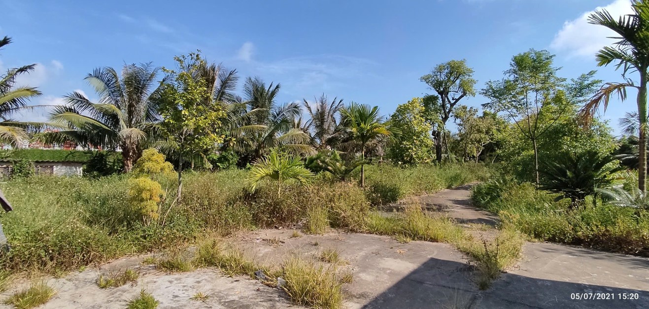 Bán Lô Đất Trang Trại Hơn 5000m² tại Kiến Thụy – Hải Phòng - Ảnh 2